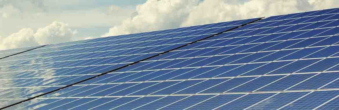 Solar Panel Bird Proofing Scotland banner